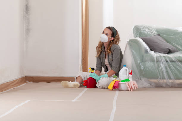 Reliable Commercial Mold Remediation contractor in Morton Grove, IL by WQB Mold Removal